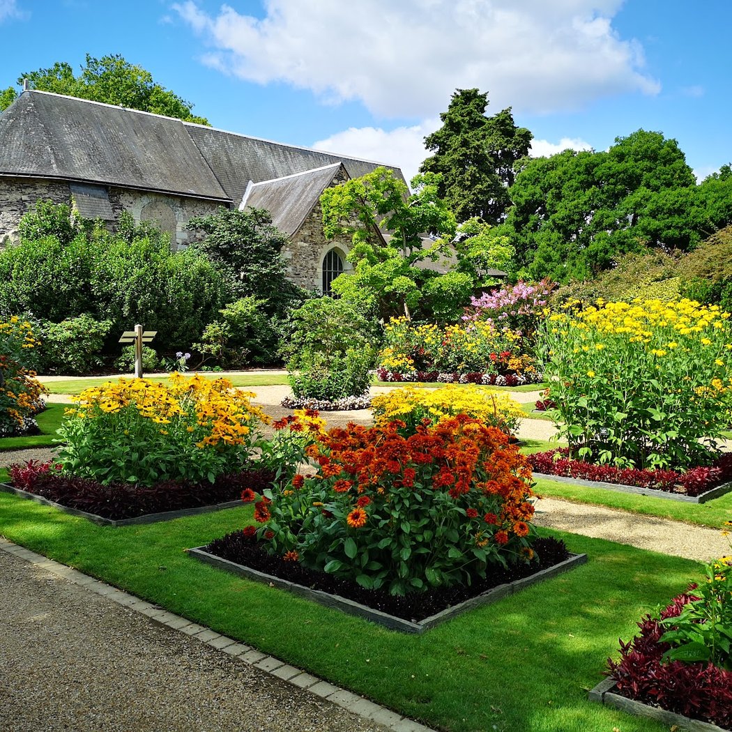 Jardin des plantes d'Angers 1