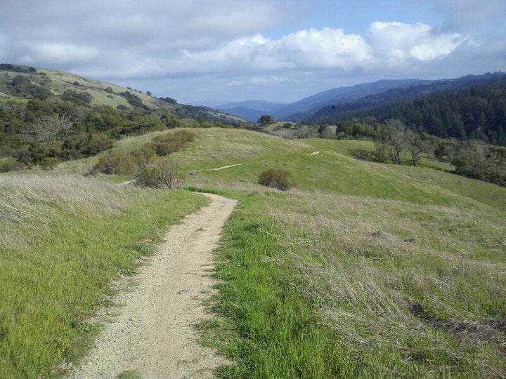 Midpeninsula Regional Open Space District 1