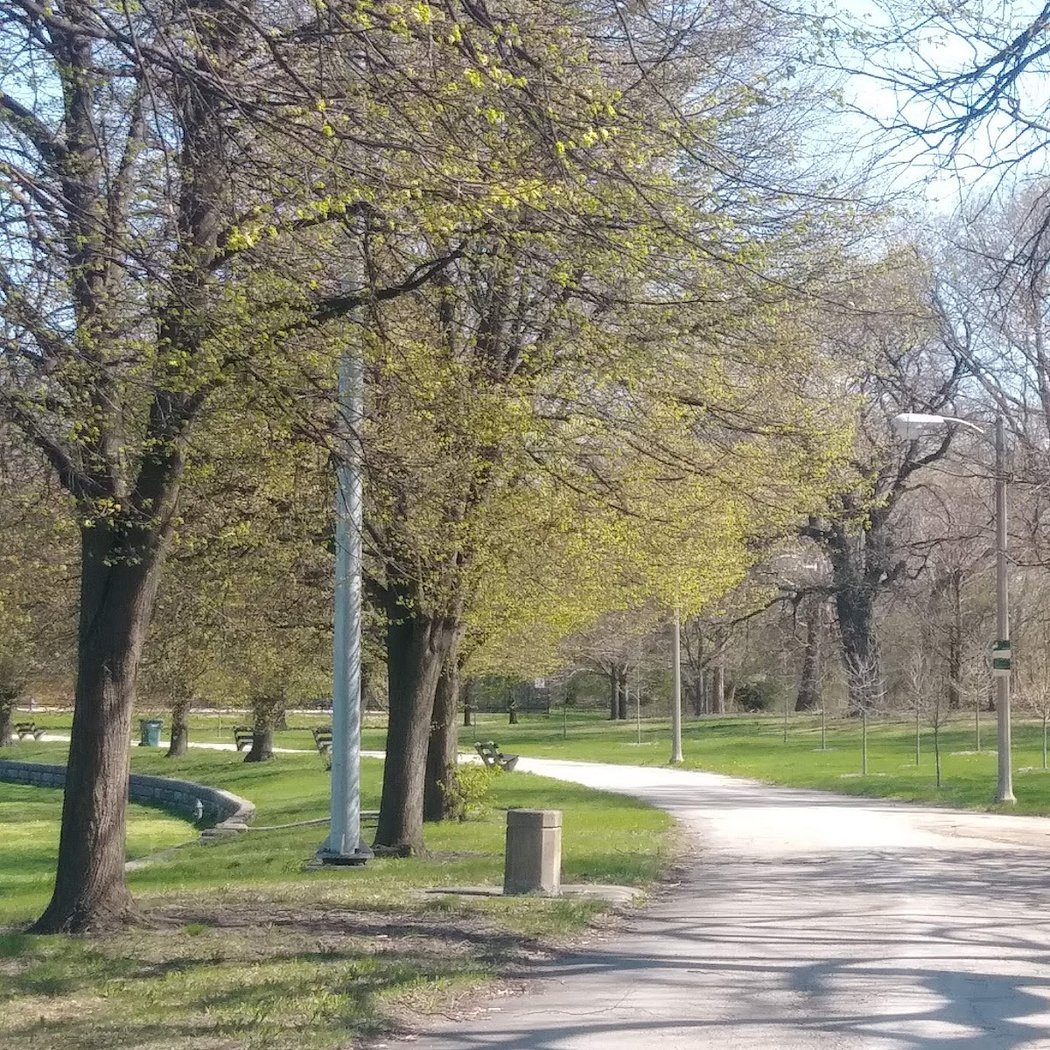 Hamilton Park 1