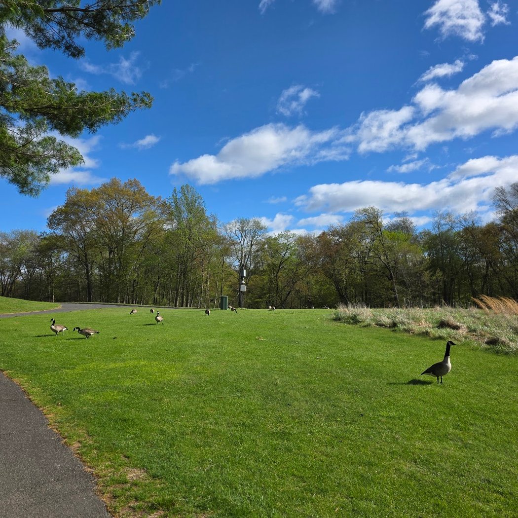 Valley Brook Golf Course 2