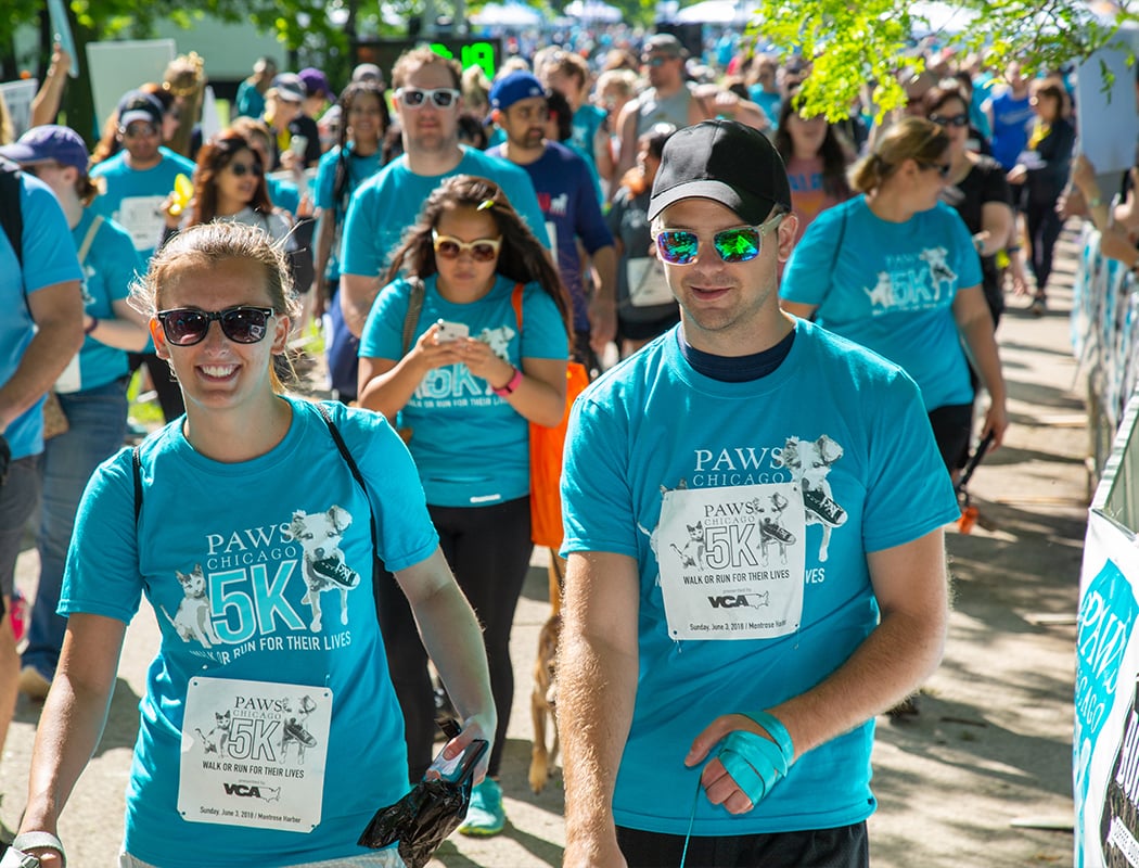PAWS Chicago 5K Walk/Run for Their Lives 2