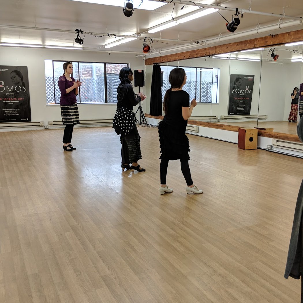 Flamenco Class by Carola Zertuche 3