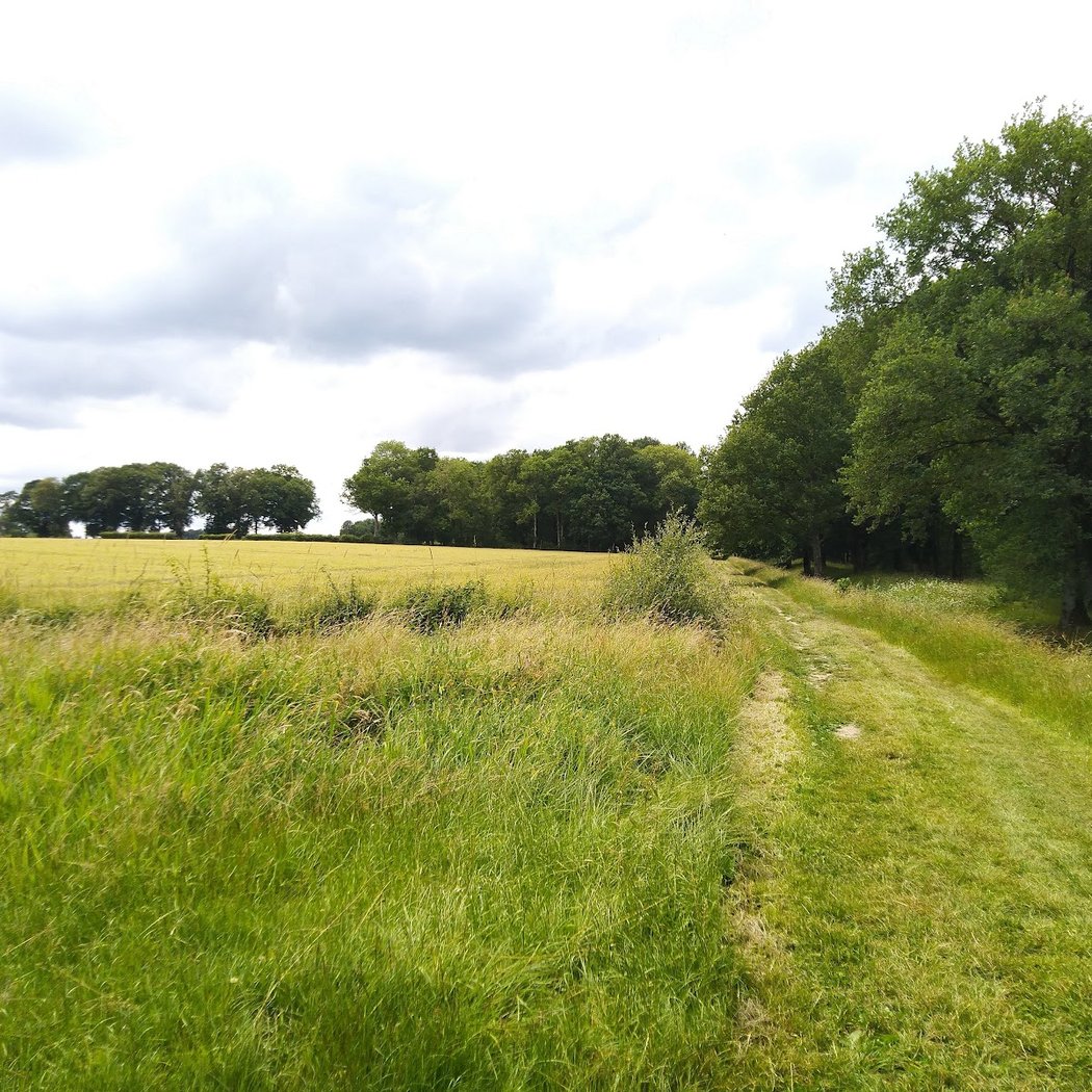 Le Perray-en-Yvelines 3