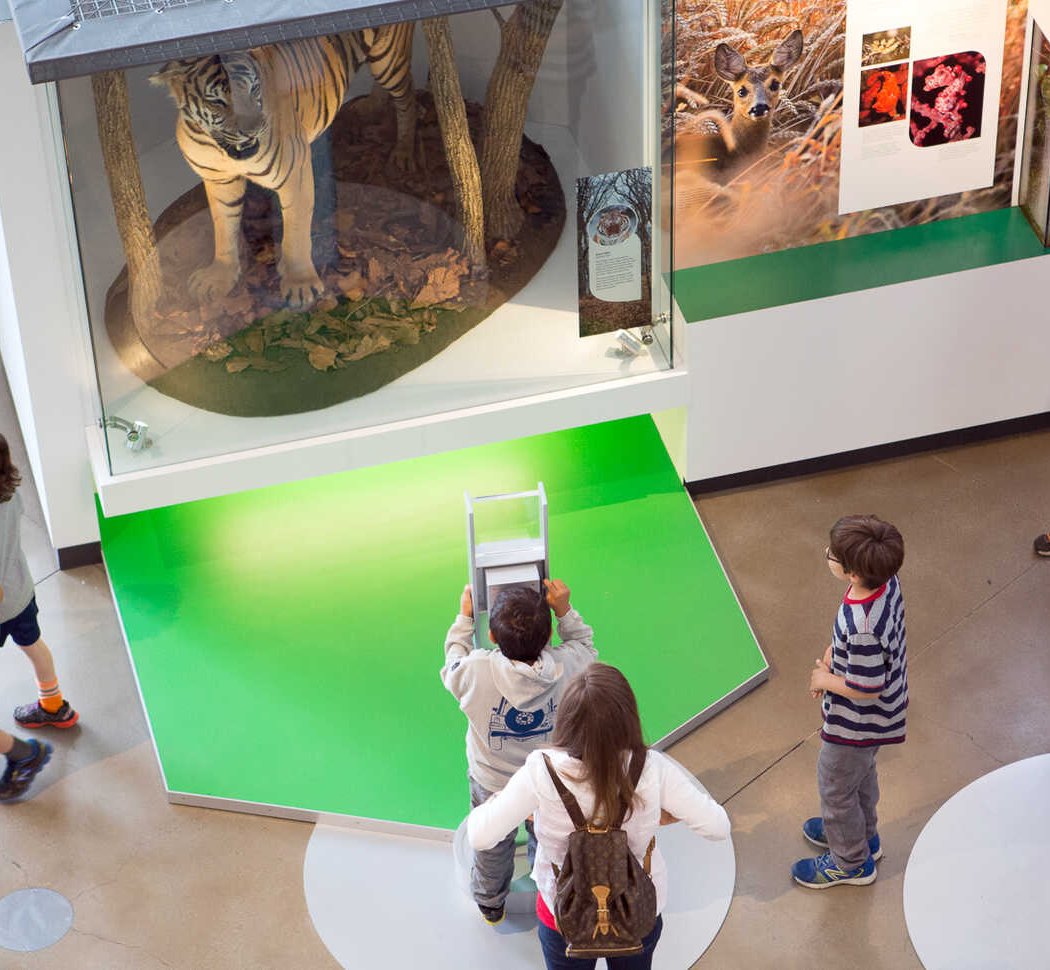 California Academy of Sciences 3