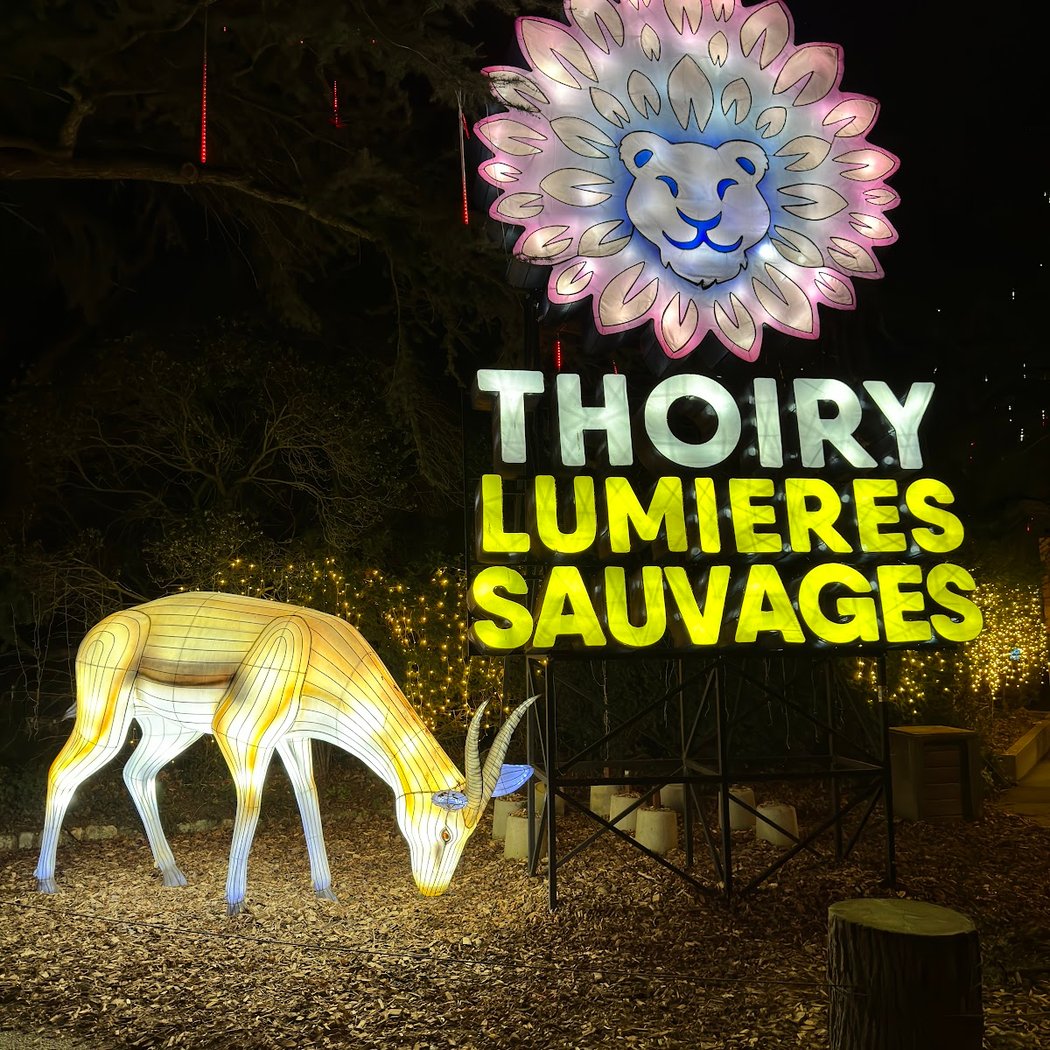Thoiry Lumières Sauvages 4
