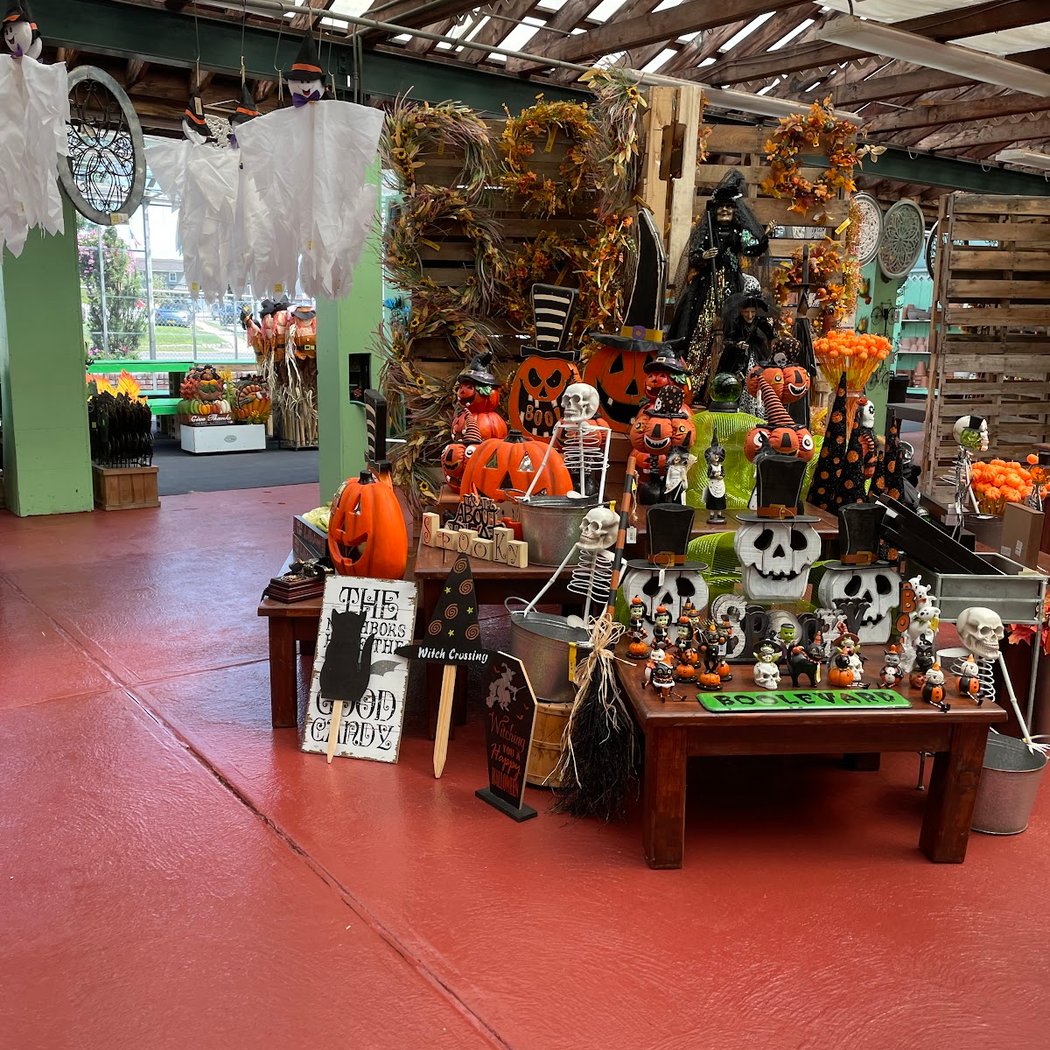 Fall Festival 3