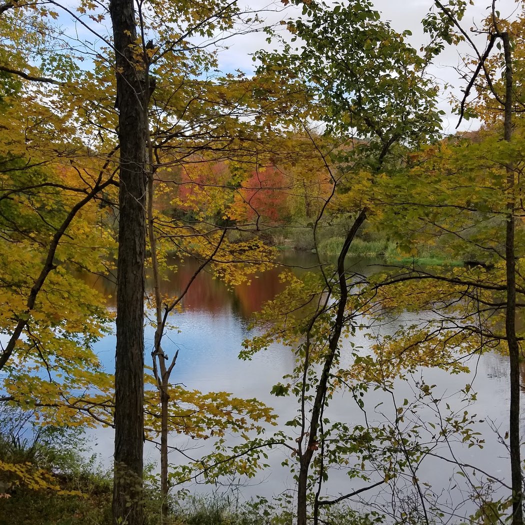 Larkin State Park Trail 2