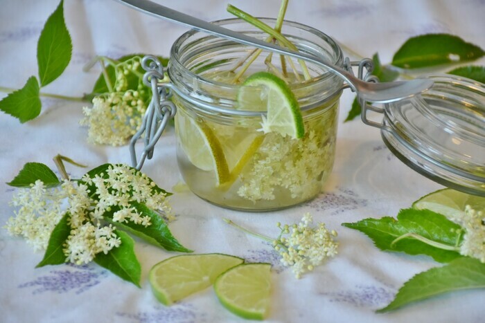 Atelier adultes : Boissons fermentées 1