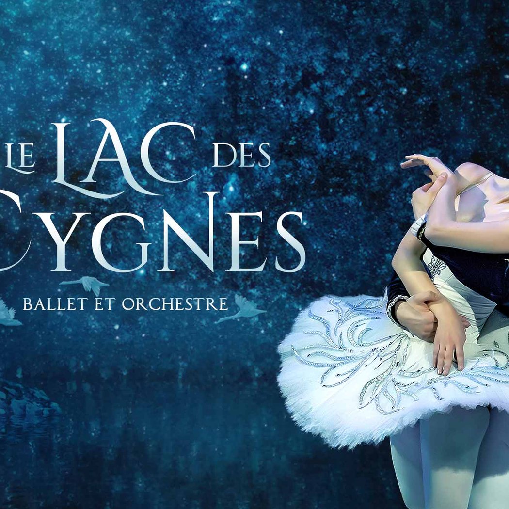 Le Lac des Cygnes 1