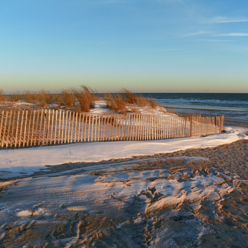 Robert Moses State Park Field 5 4