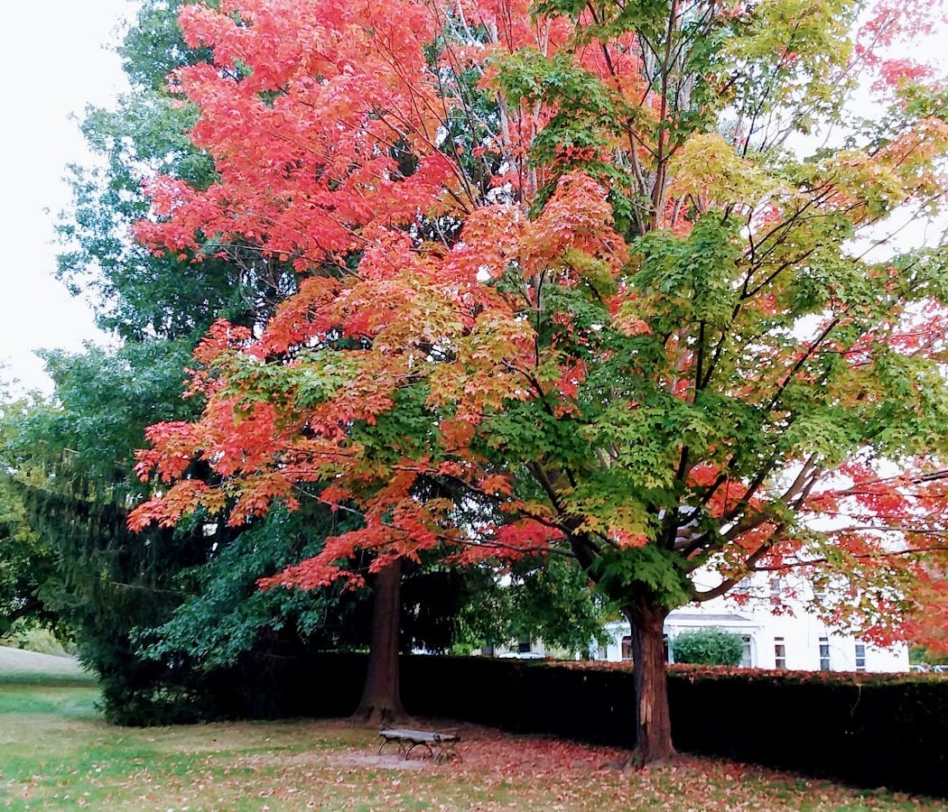 Hudson Valley Maker Markets and Craft Fairs 3