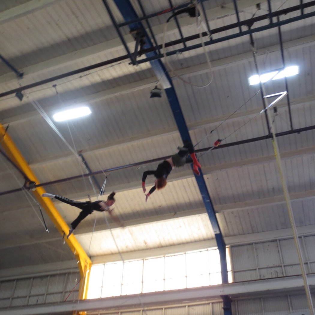Trapeze Arts Inc 1