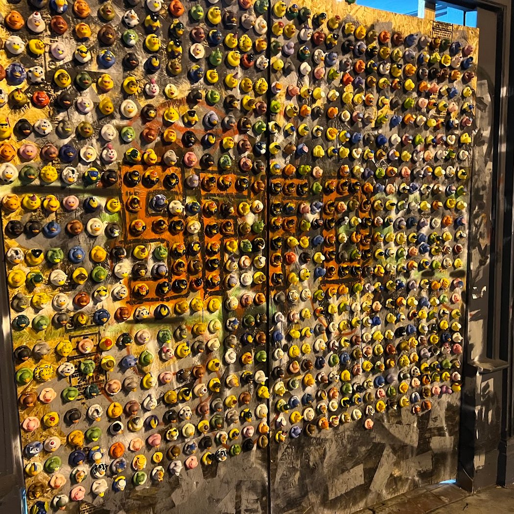 Duck Wall 2