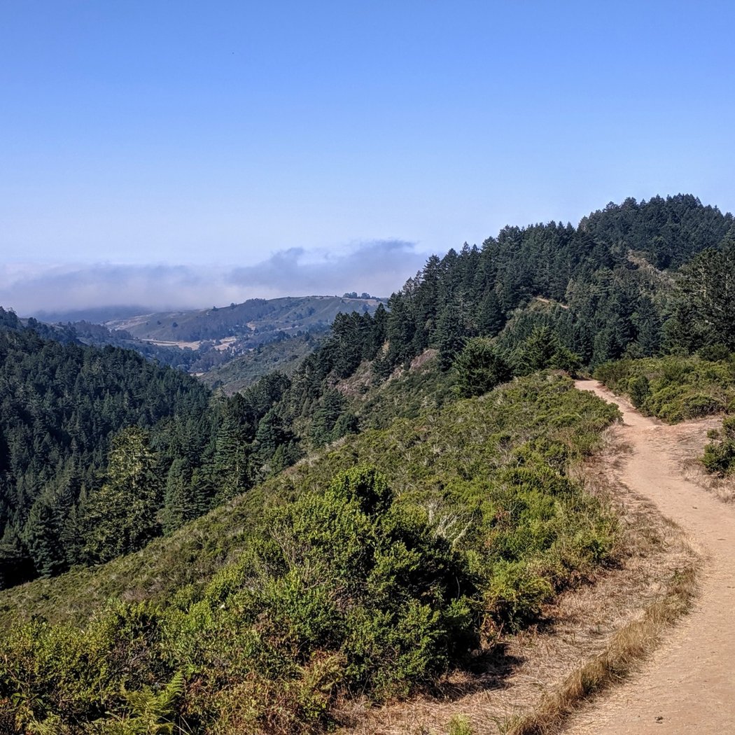Purisima Creek Trail 3