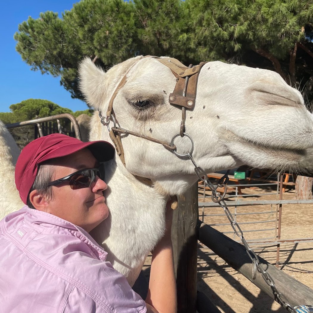 Aires Africanos - Ecoturismo en camello por Doñana 3
