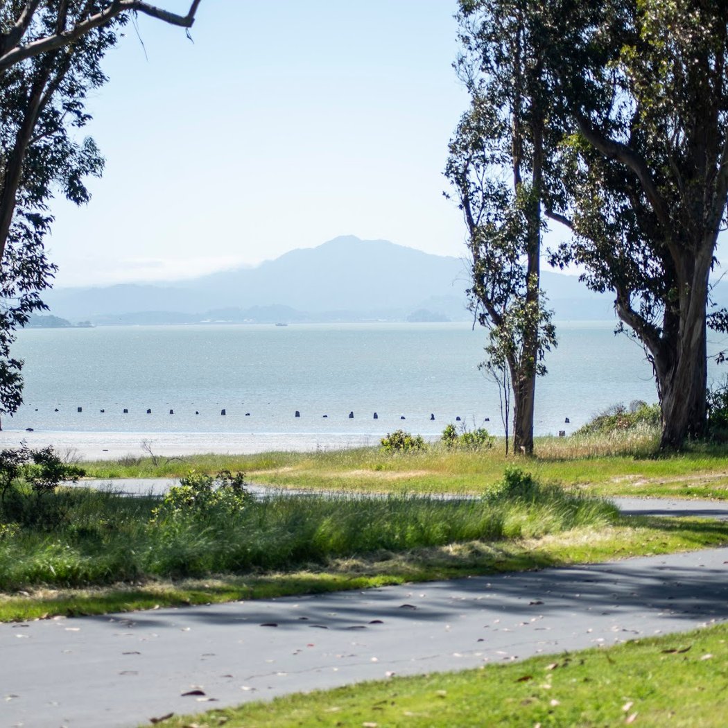 Point Pinole Regional Shoreline 3