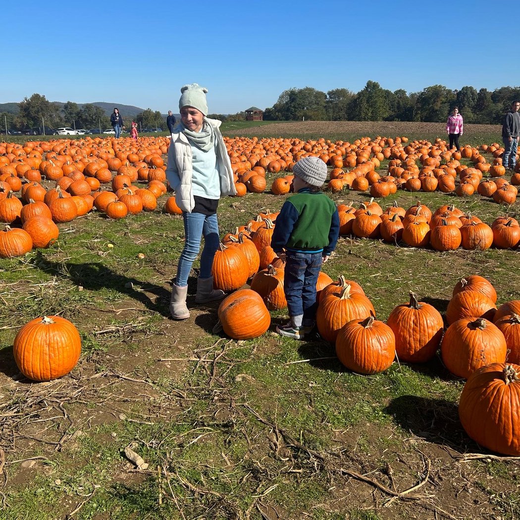 Barton Orchards 1