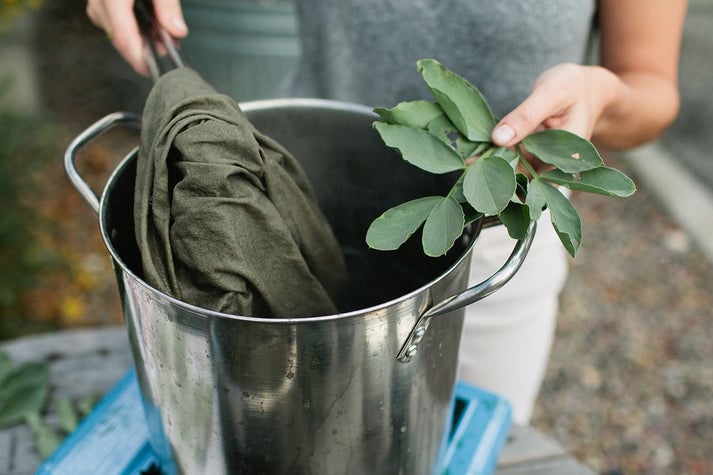 Introduction to Natural Dyeing 1