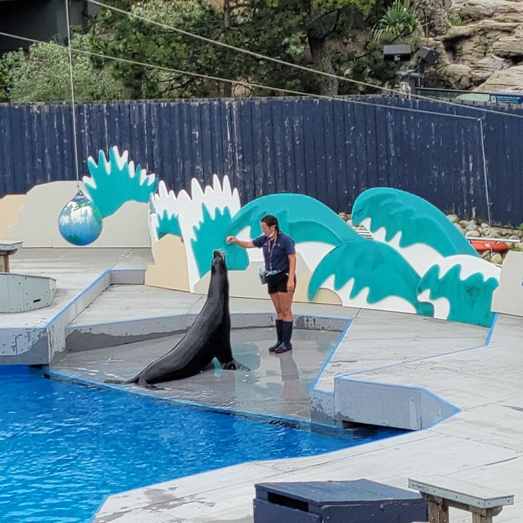 Free Admission Hours at New York Aquarium 3