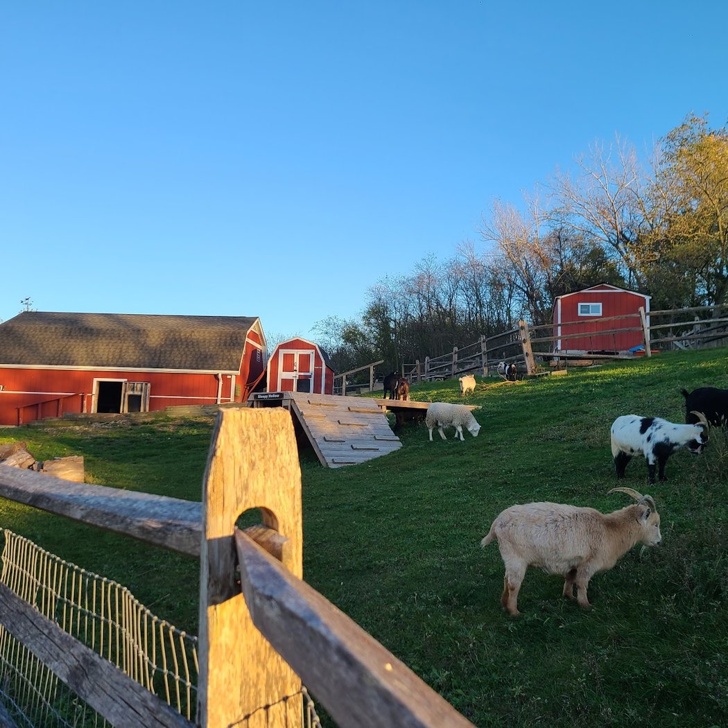 Norman J. Levy Park & Preserve 3