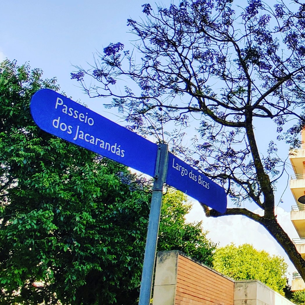 Cartografia do Amor 3