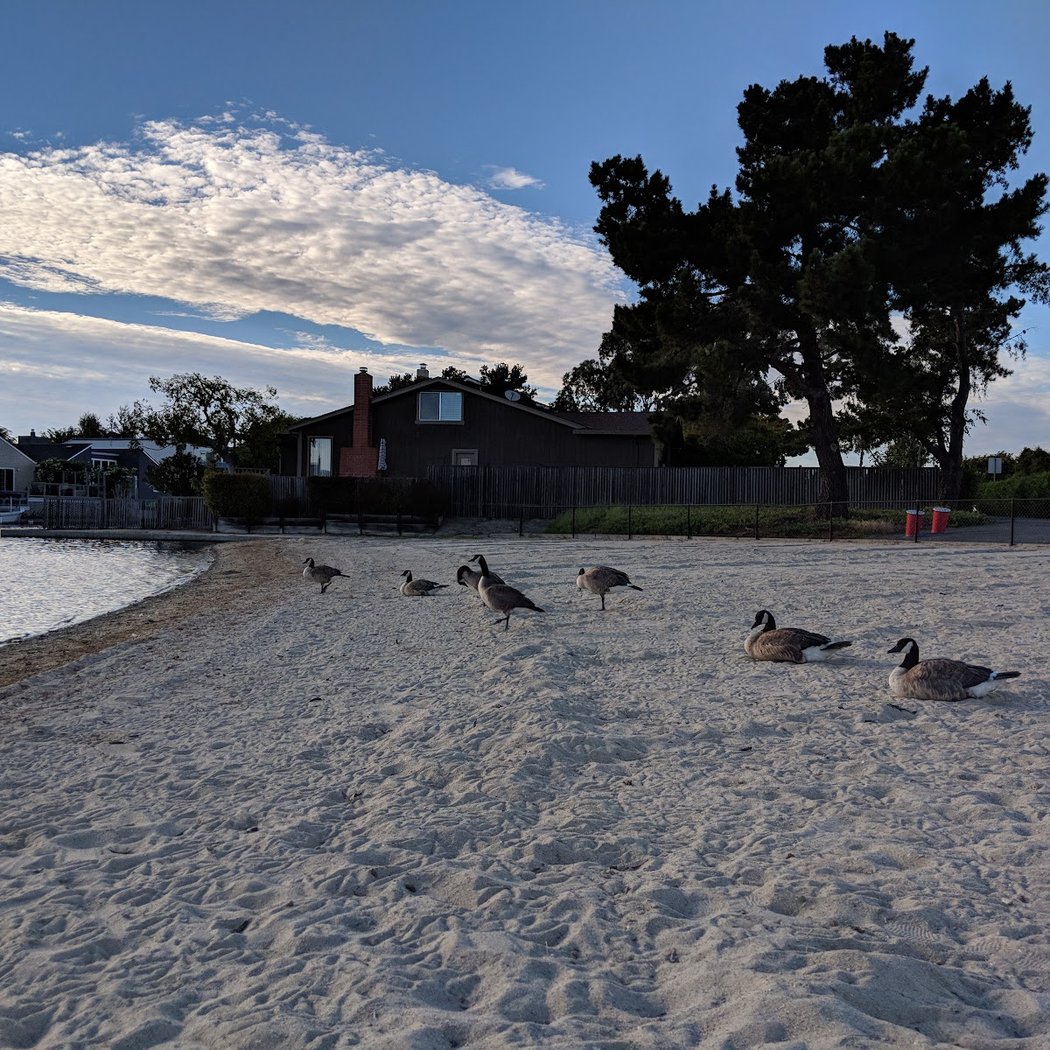 Pompano Park 1