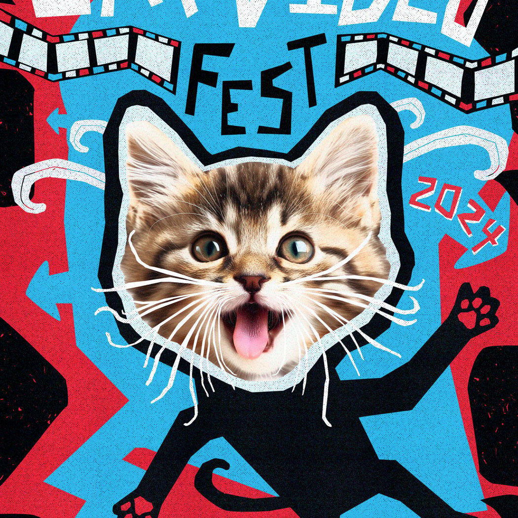 CatVideoFest 3