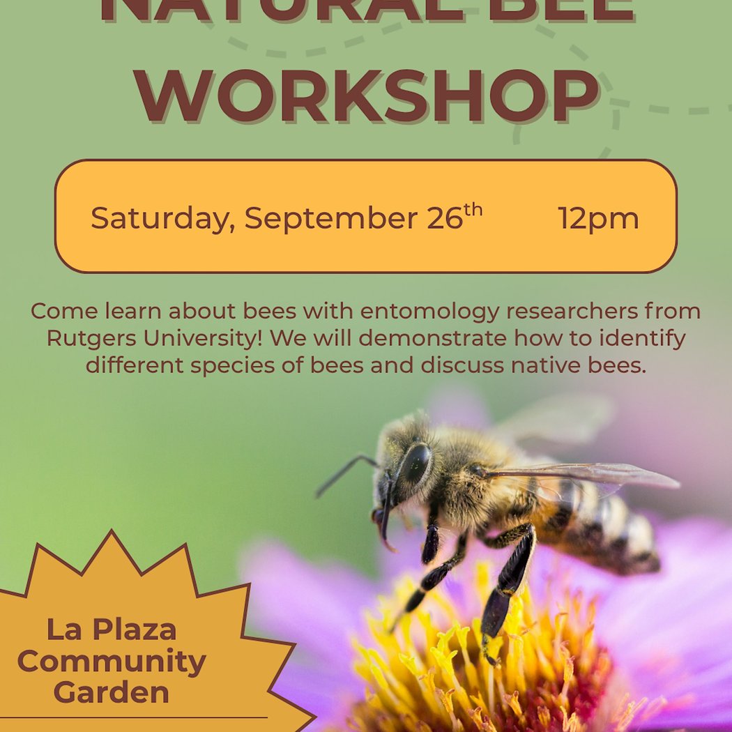 NATIVE BEE WORKSHOP