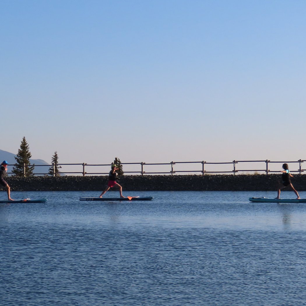 Natur'yoga 1
