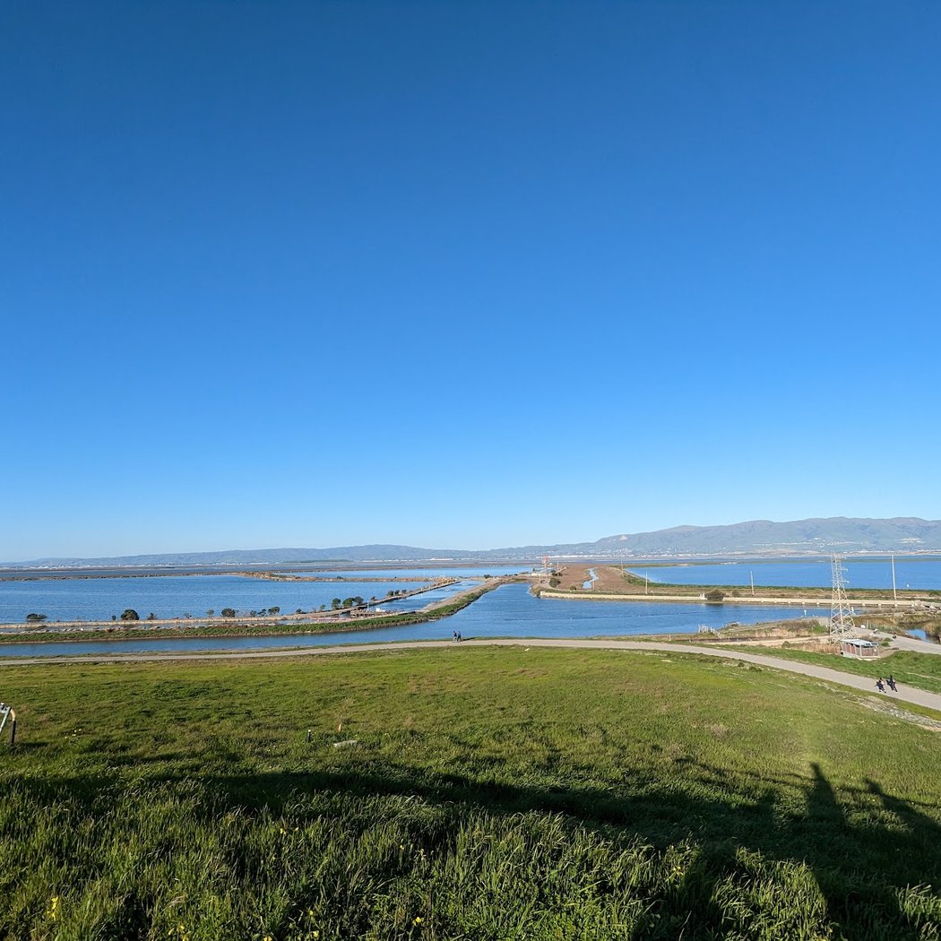 Bay Trail 1