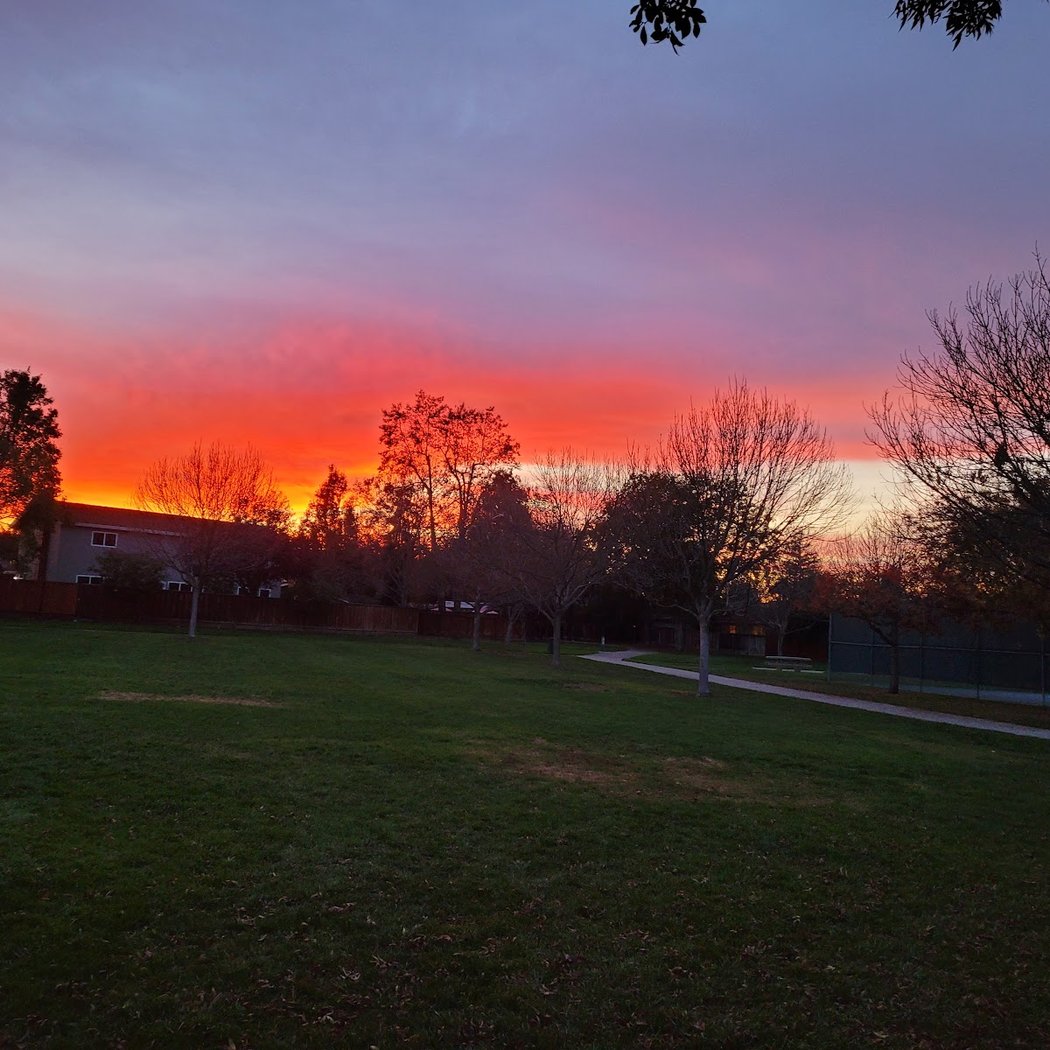 Fairlands Park 1