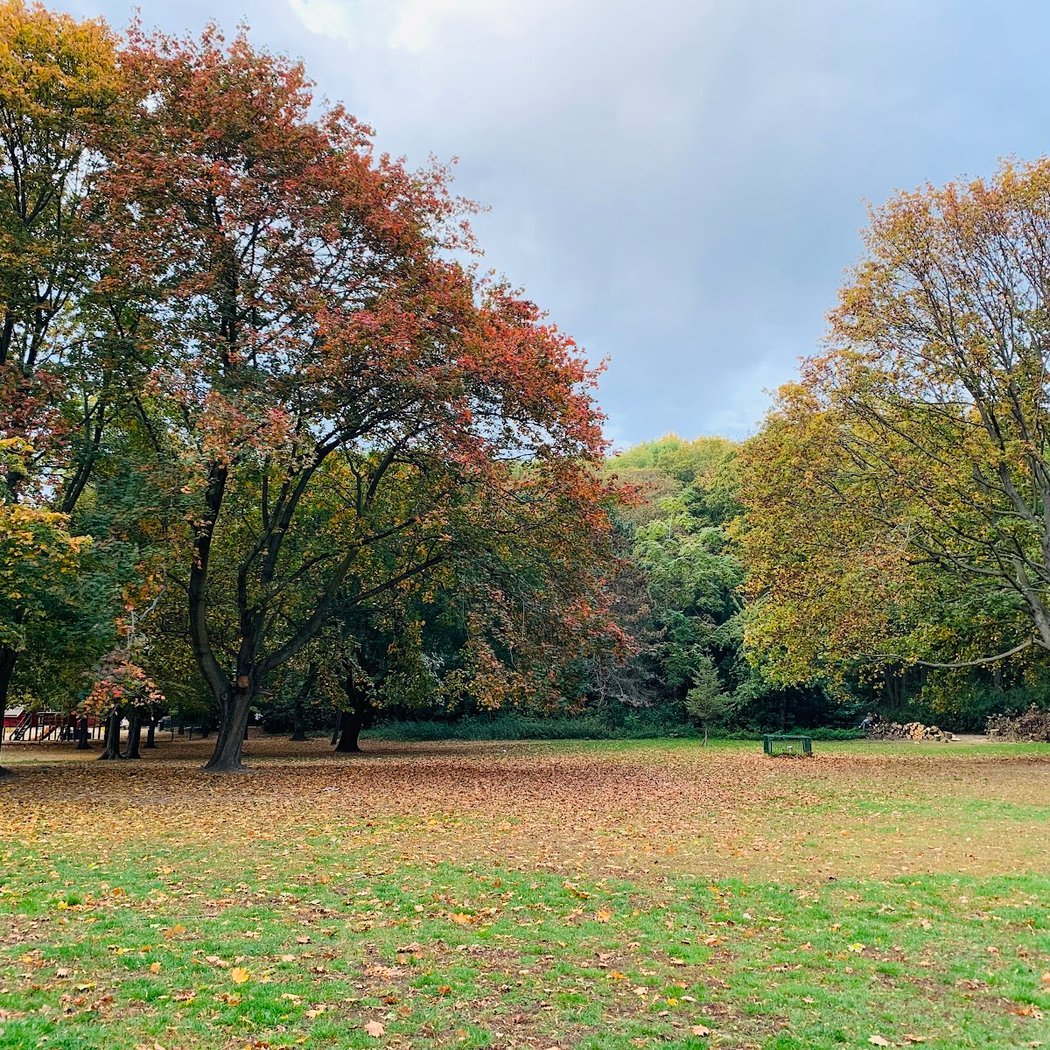 Volkspark Humboldthain 4