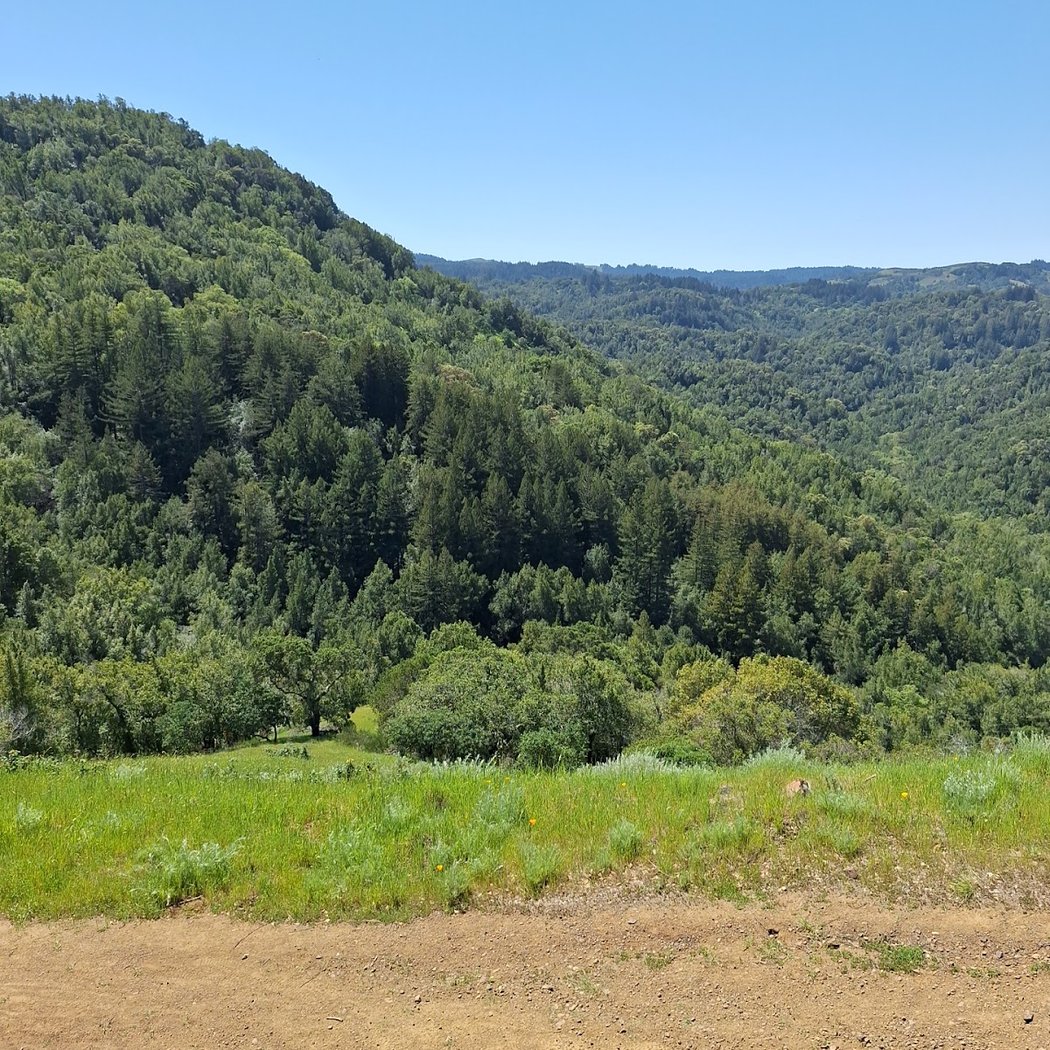 Bald Hill Preserve 2