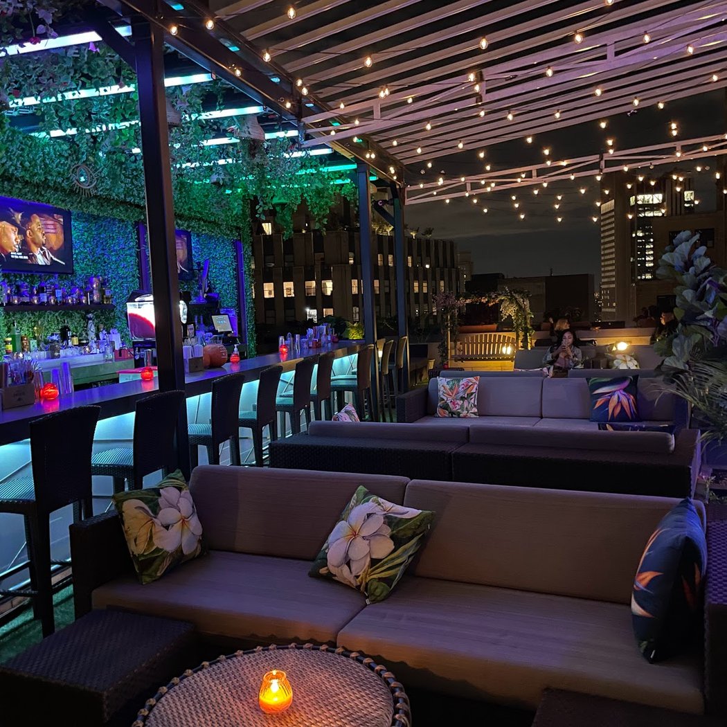 Highkey Rainforest Rooftop 3