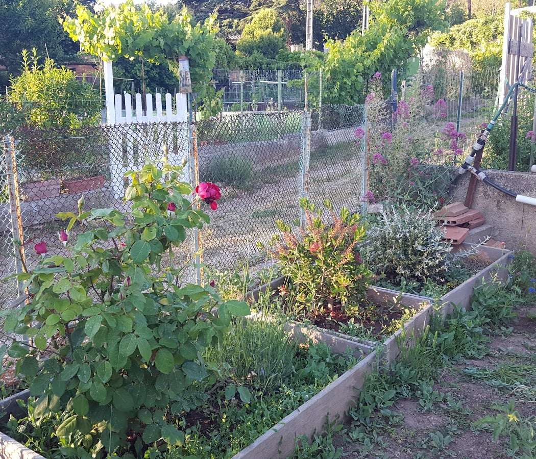 Jardins familiaux Magali Aiguier 2