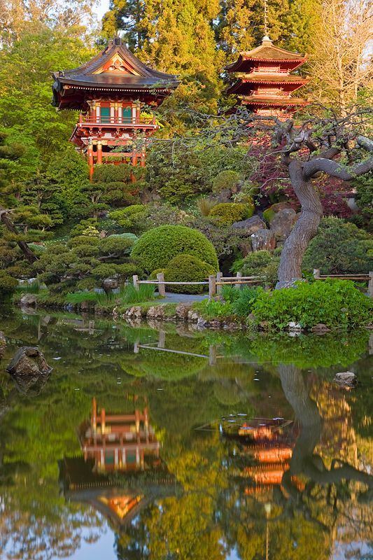 Japanese Tea Garden 1