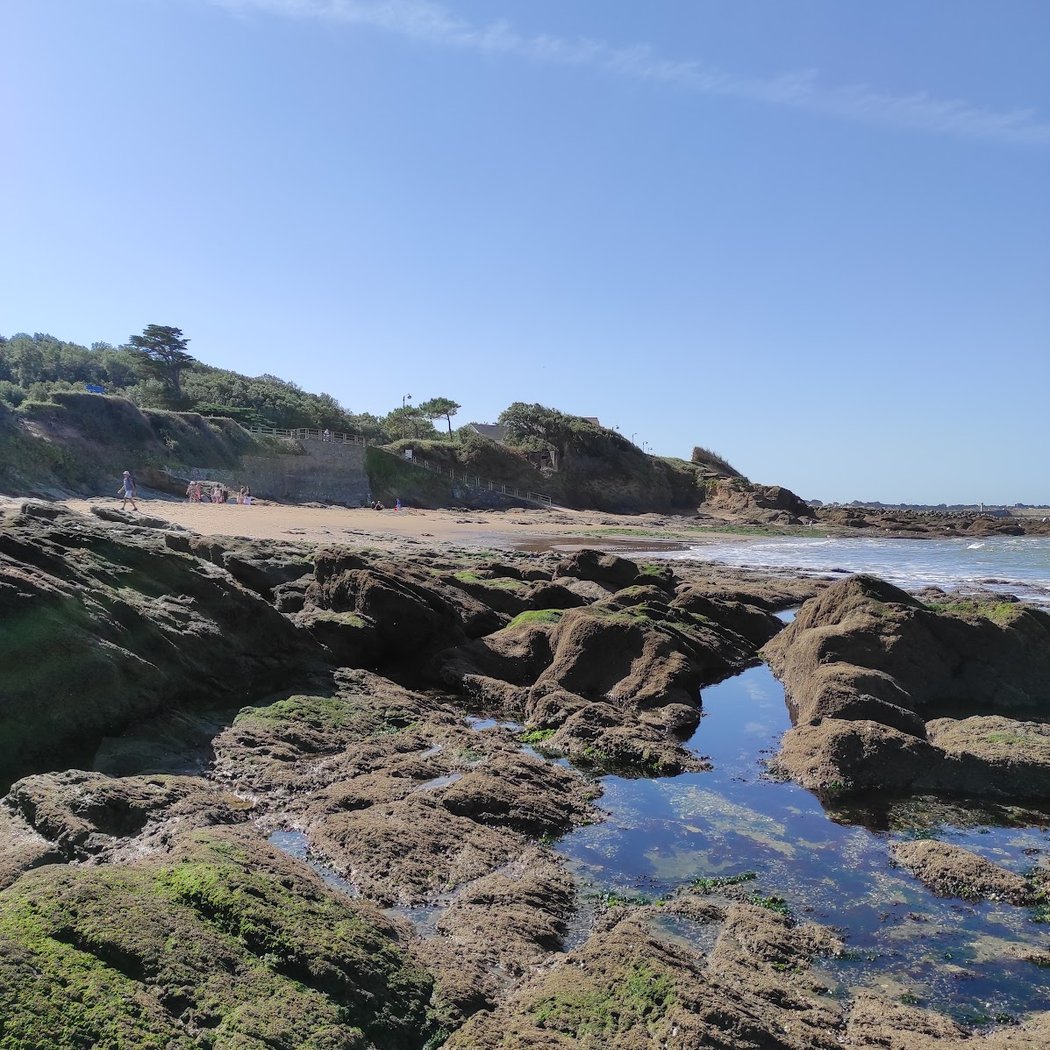 Contes de Bretagne et d'ailleurs au Bois Roy 2