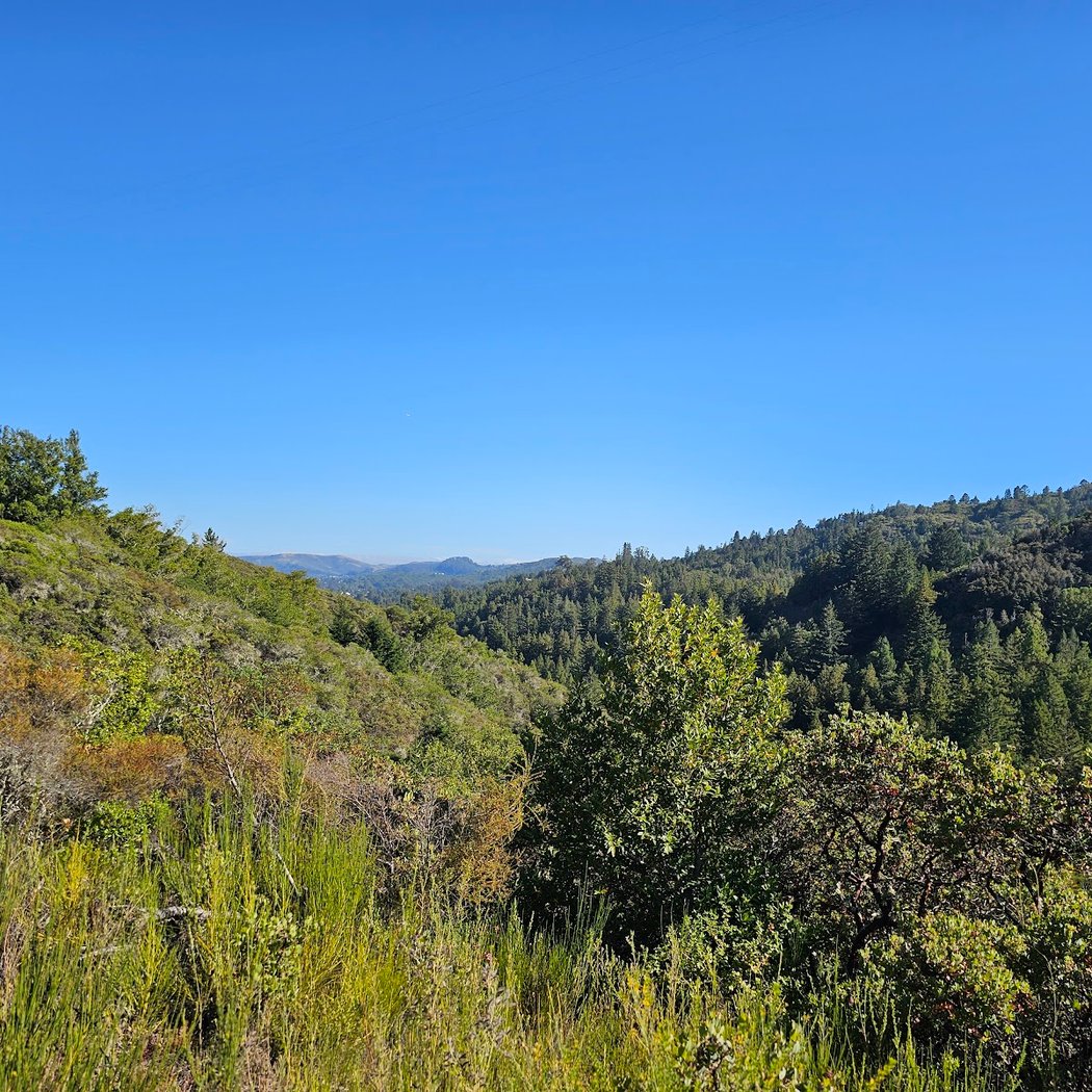 Blithedale Summit Trailhead 2