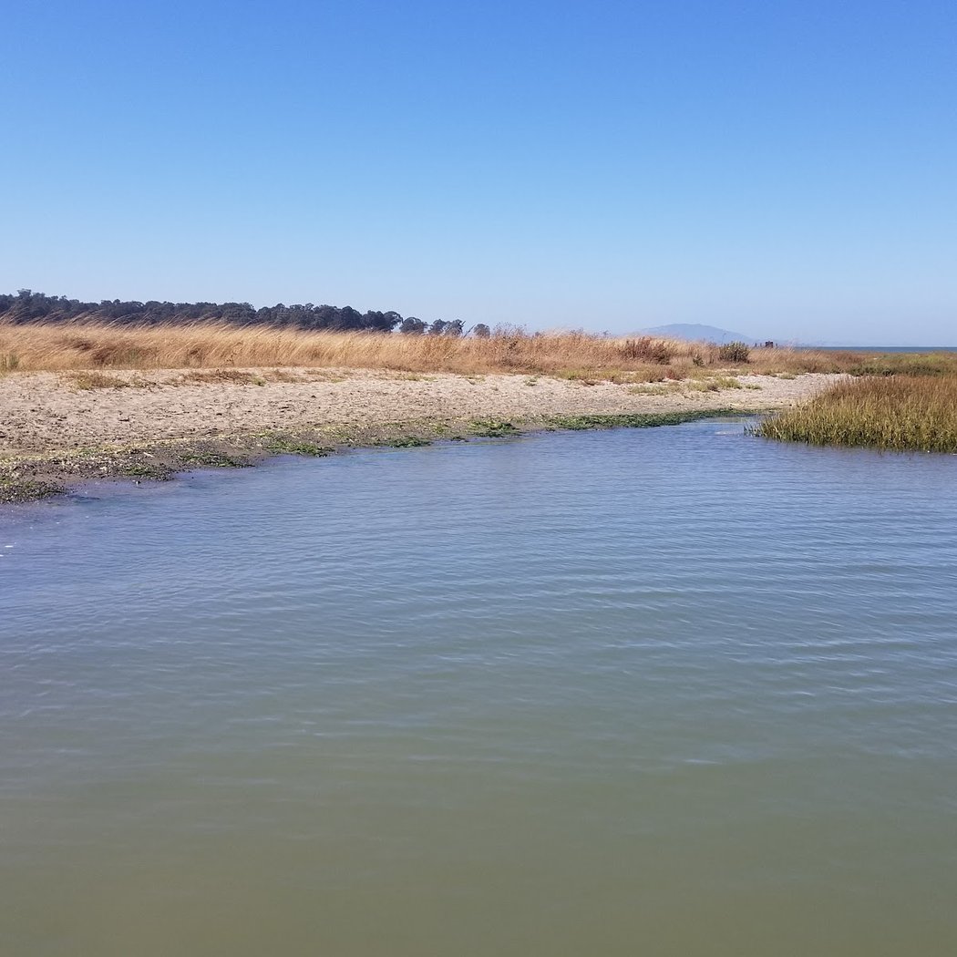 Point Pinole Regional Park - Dotson Family Marsh 2