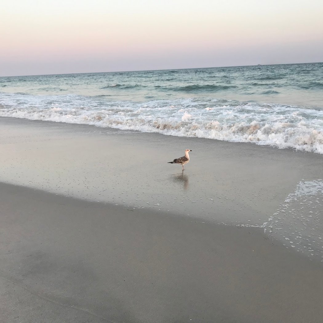 Robert Moses State Park Field 2 3