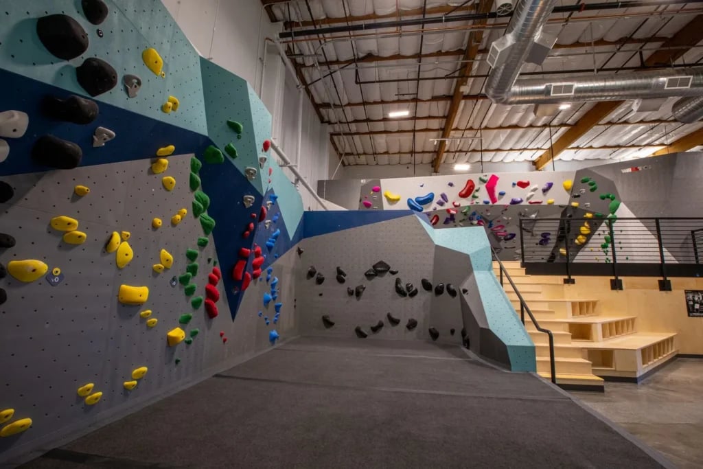 Movement Mountain View 3