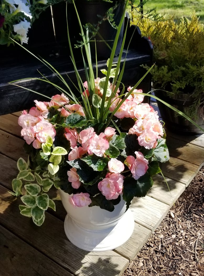M & M Garden Center & Supply 1