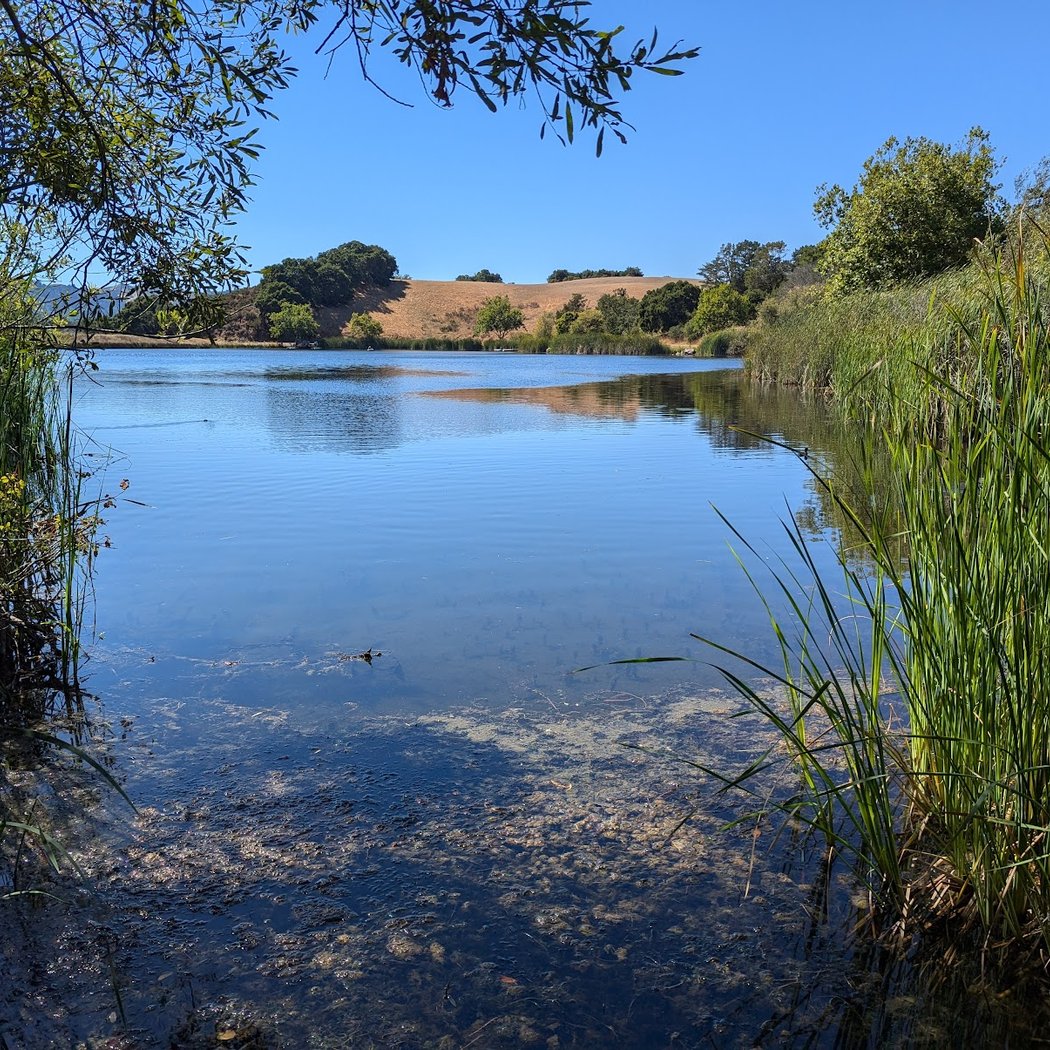 Foothills Family Nature Walk 2