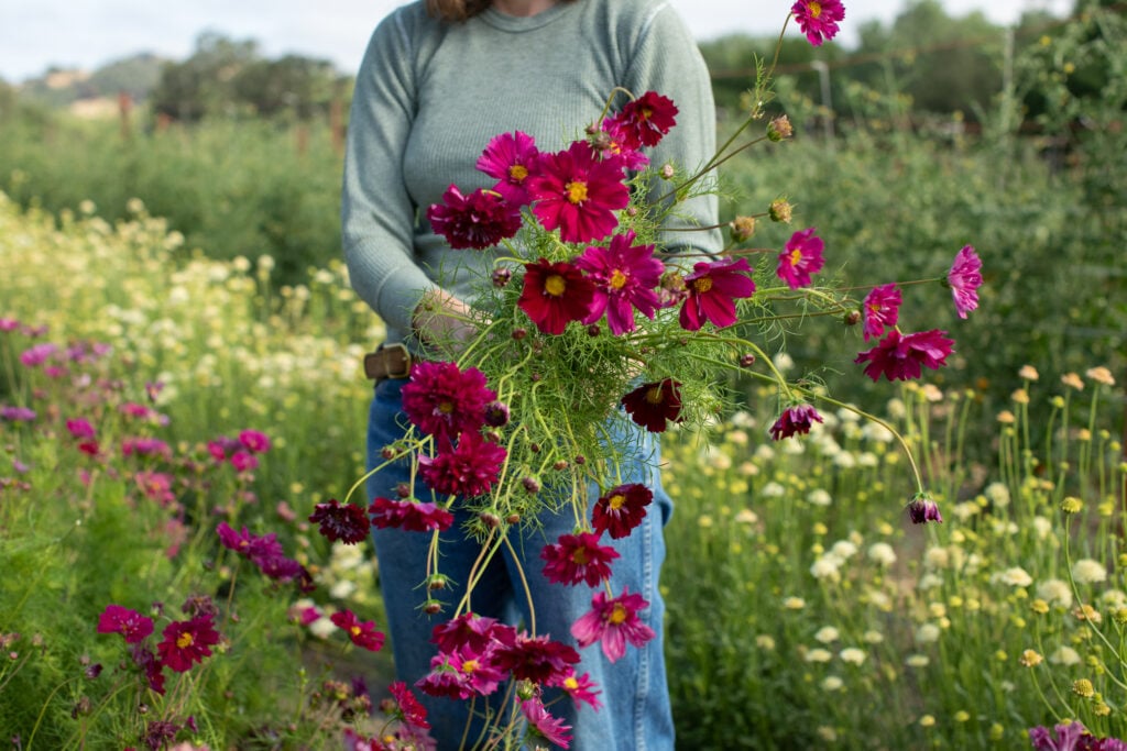 Front Porch Farm 4