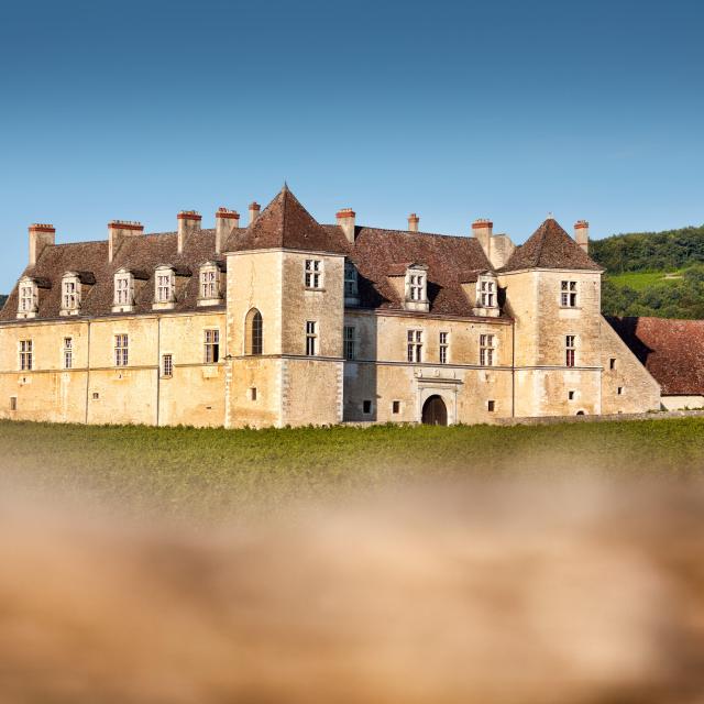 Clos de Vougeot Castle 3
