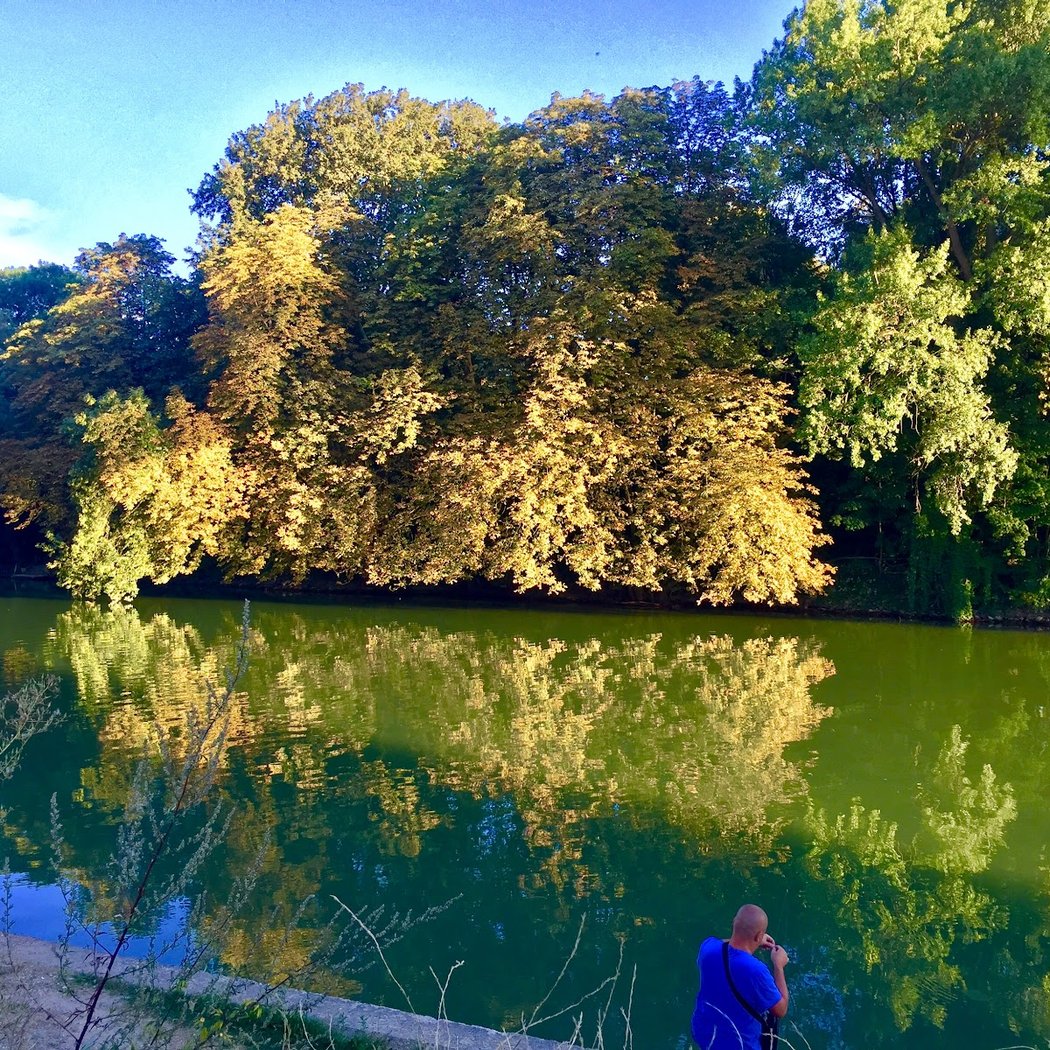 île des Loups 5