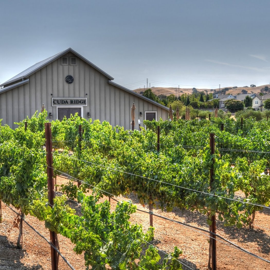 Open for Wine Tasting 2