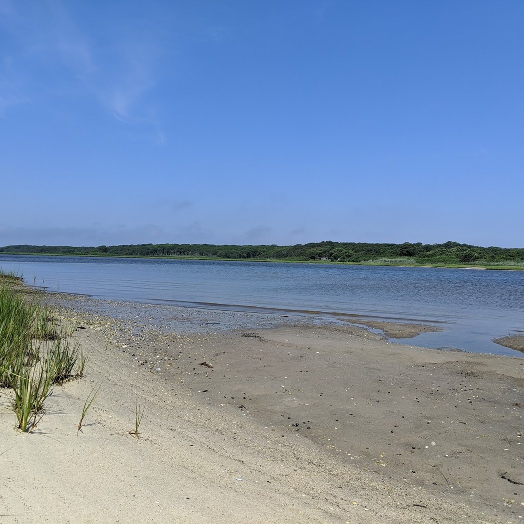 Meadow Lane Boardwalk 3