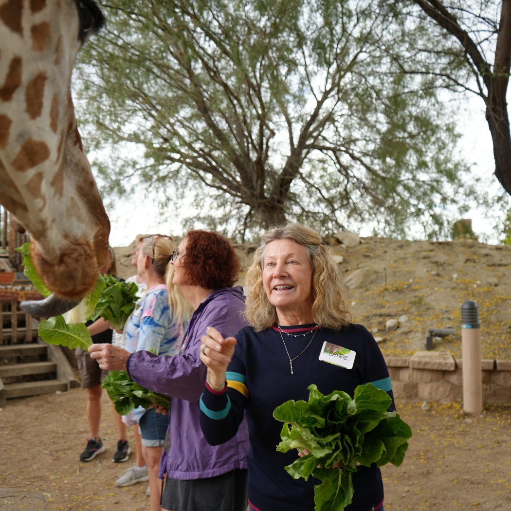 Wild at Heart: ZooCamp for Adults