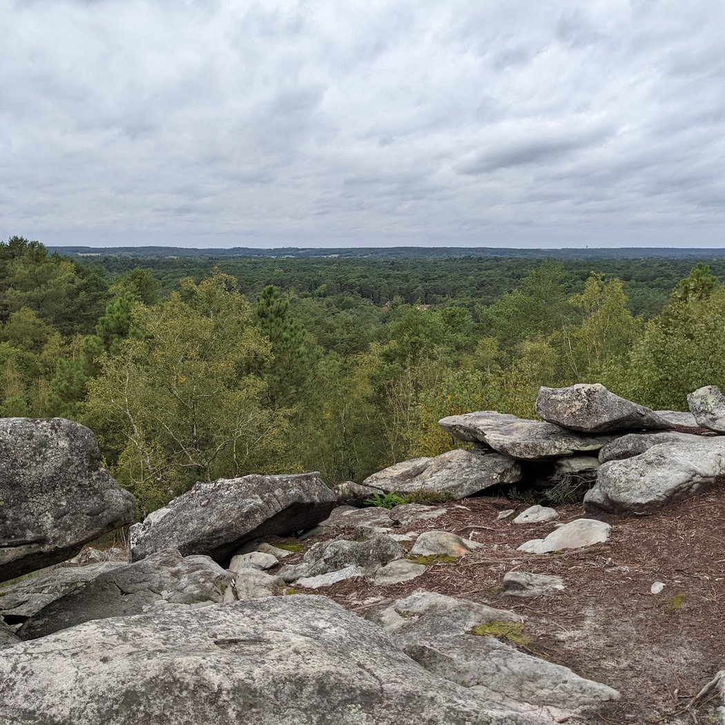 Forêt Domaniale des Trois Pignons 3